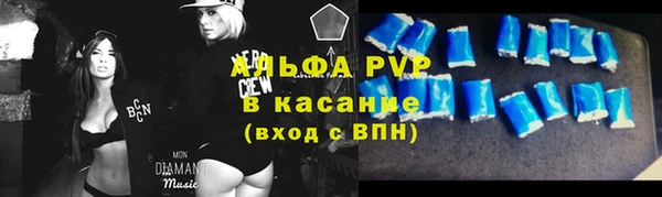 хмурый Бородино