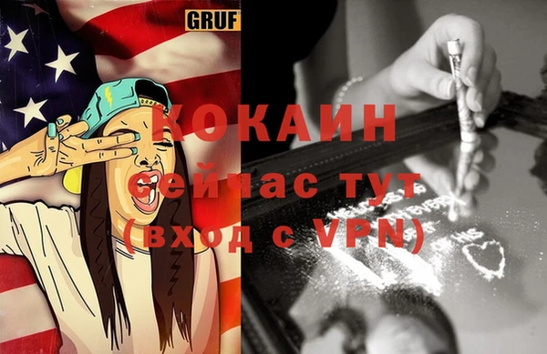 хмурый Бородино