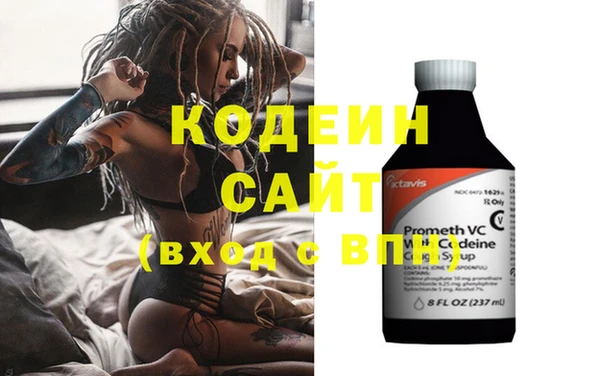 хмурый Бородино
